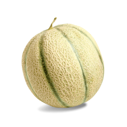 Honeymelon - 1 count