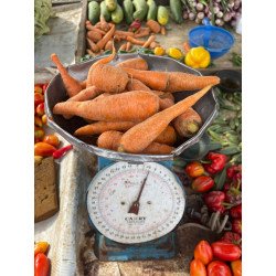 Carrots - 1kg