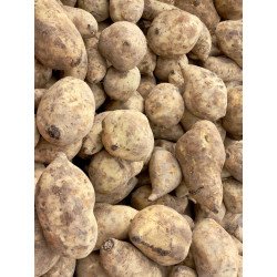 Potatoe - 1kg