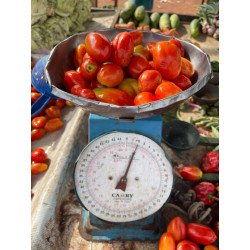 Tomatoes - 1kg