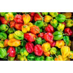 Pepper - 1kg