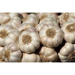 Garlic - 1kg